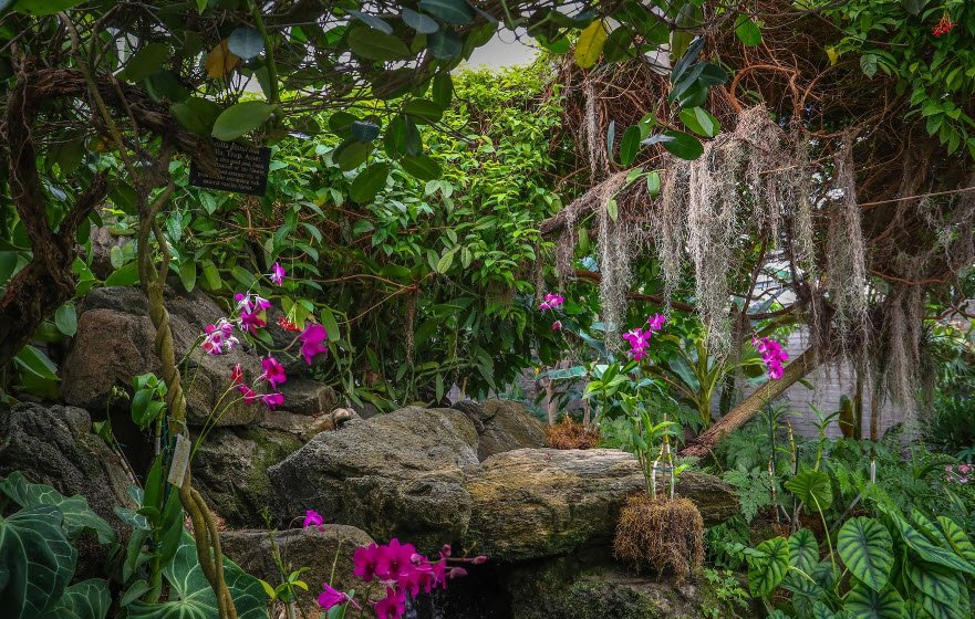 Los Angeles County Arboretum & Botanic Garden, United States